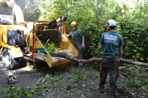 tree services Tallapoosa